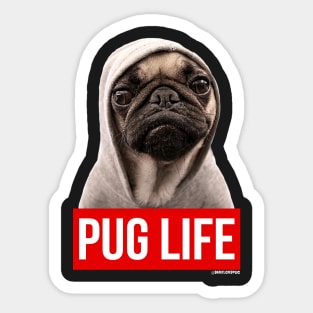 PUG LIFE PUG Sticker